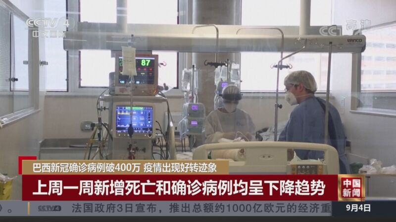 “武汉确诊” 武汉确诊登革热？-第3张图片