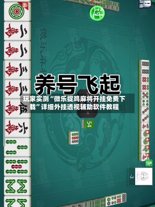 分享实测攻略“微乐双扣怎么开挂”确实真的有挂-第3张图片
