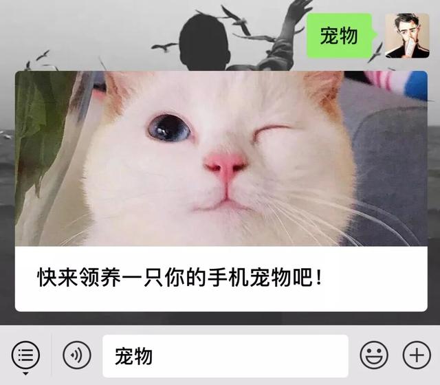 我来教教大家“上品十三水有挂吗	”附开挂脚本详细步-第3张图片