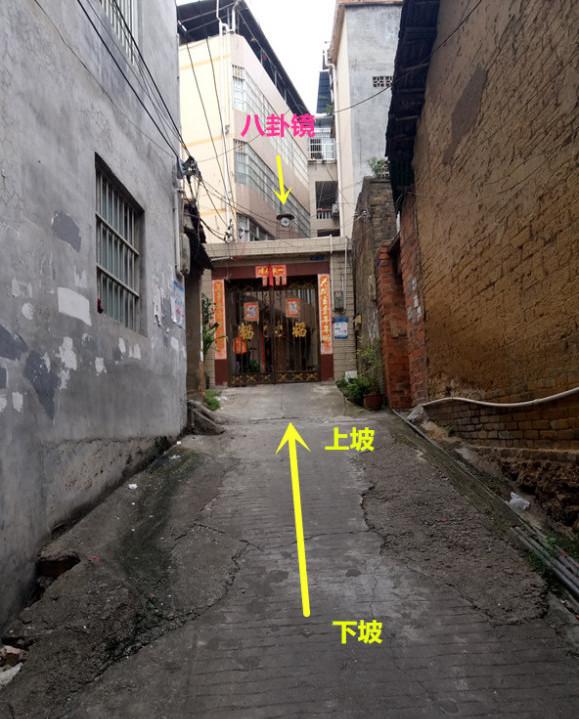 传递经验“金州水鱼有什么挂	”其实是有挂-第1张图片