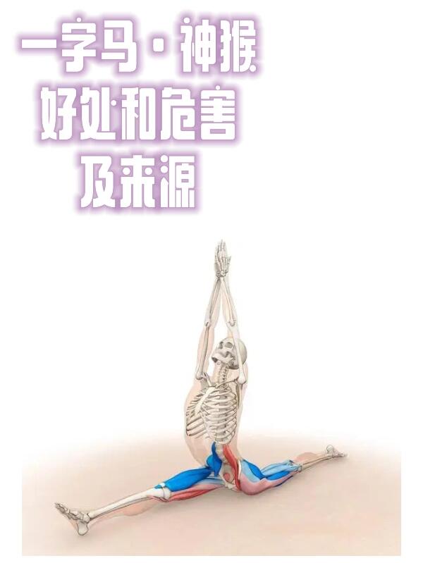 揭秘科普“超凡大厅辅助”分享装挂步骤-第3张图片