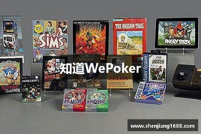 介绍一款“wepoker微扑克辅助器”(其实有挂)-第3张图片