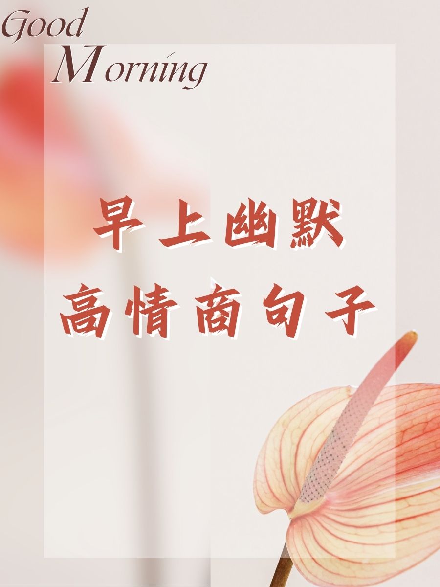 教程分享“一手好牌高情商句子”确实是有挂-第2张图片