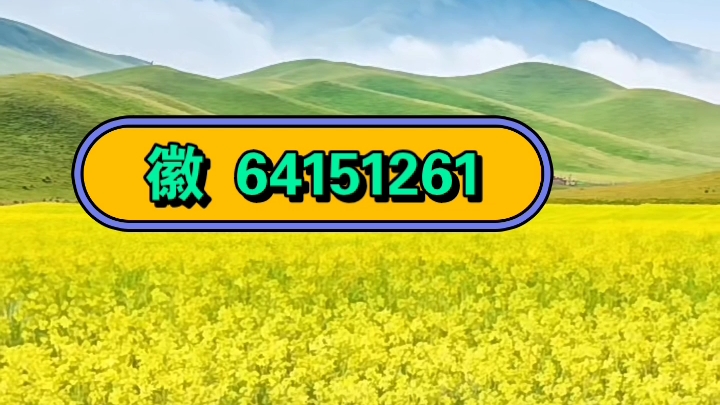 教程解析“wepoker能开挂透视吗”(必胜开挂神器)-第1张图片