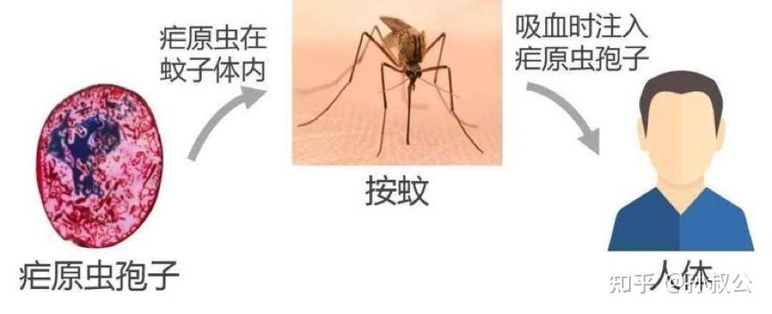 必看科普“wpk软件辅助挂”确实果然有挂-第3张图片