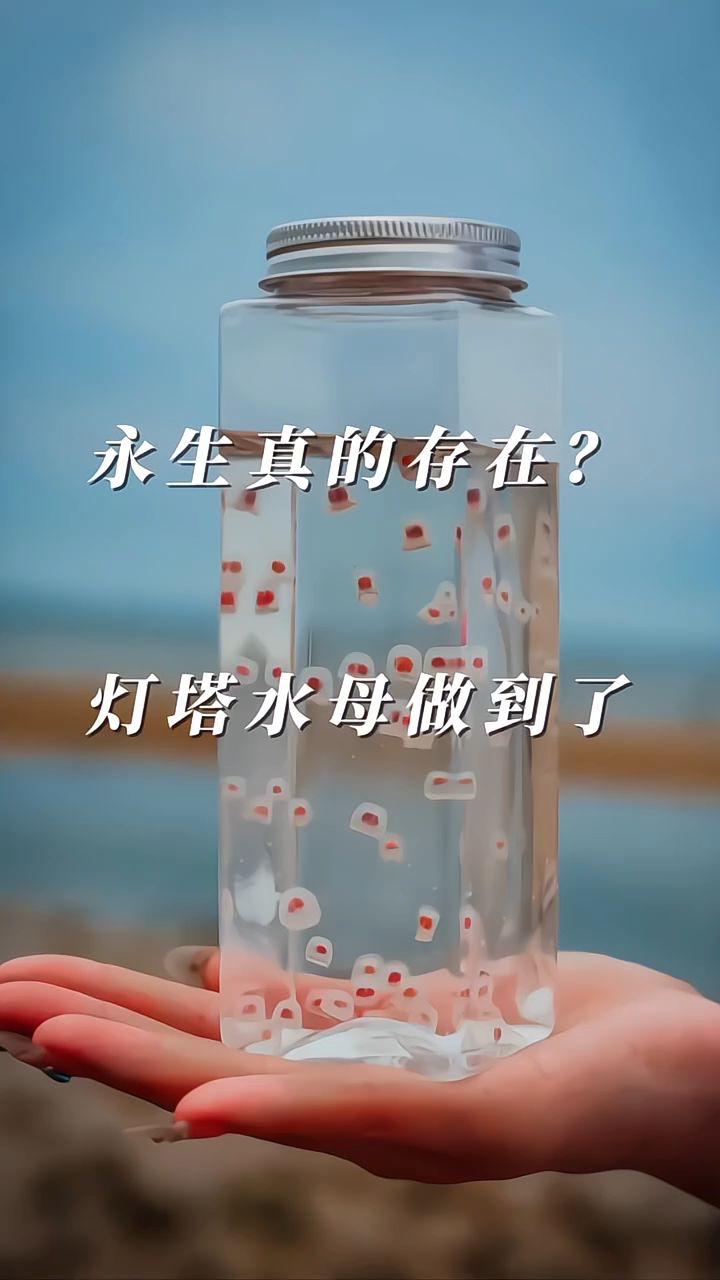 分享科普“聚友麻坛有挂吗”分享真的有挂给你-第1张图片