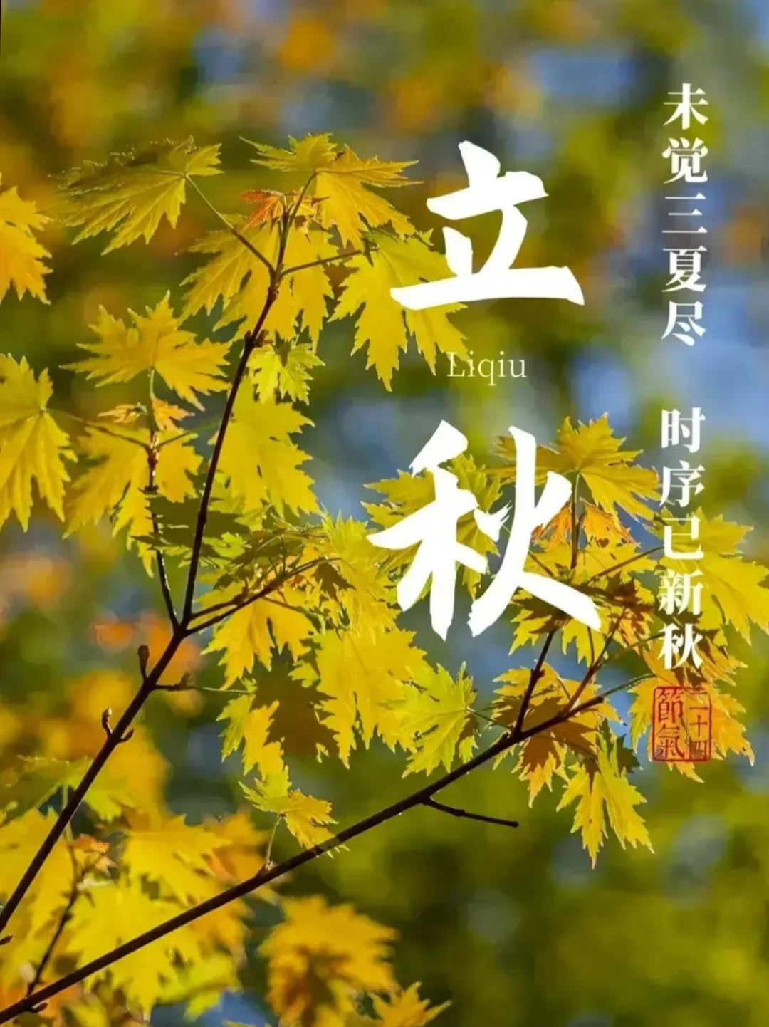 科普一下“闲来陕西三代有挂吗”附开挂脚本详细步骤-第3张图片