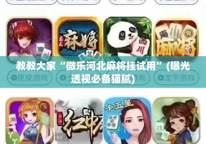 终于找到“微乐麻将万能挂是真的吗”确实真的有挂-第2张图片