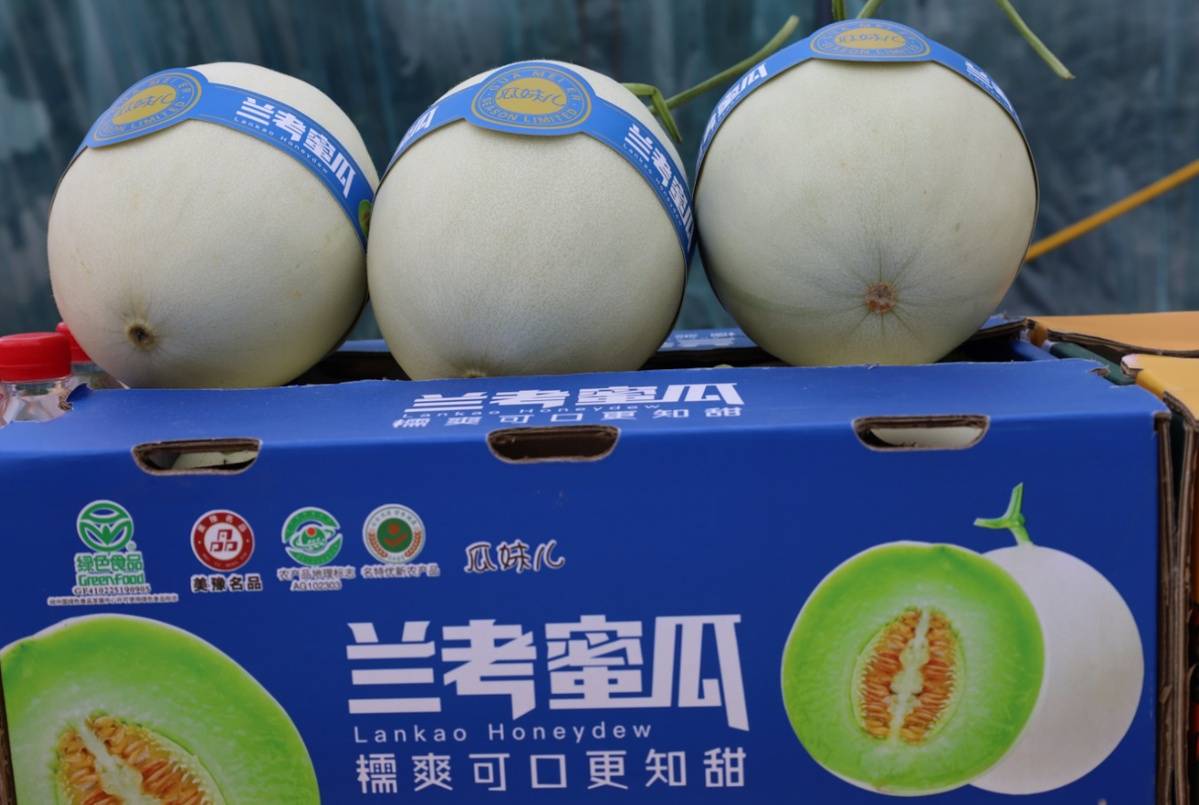 必备科技“新蜜瓜大厅怎么开挂	”(其实有挂)-第2张图片