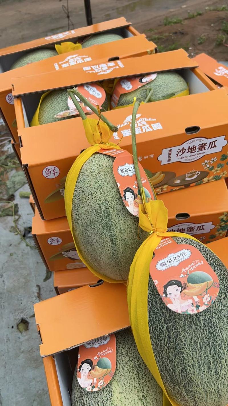 必备科技“新蜜瓜大厅怎么开挂”(其实有挂)-第3张图片