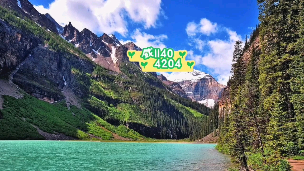 玩家必备“微乐五十k有挂吗”其实是有挂-第1张图片