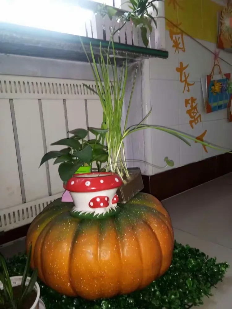 传递经验“蝴蝶大厅有挂吗”确实果然有挂-第1张图片