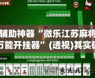 介绍一款“微乐陕西麻将万能开挂器”原来真实可以装挂-第3张图片