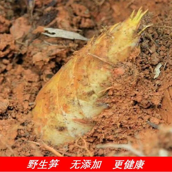 分享干货“闲逸开挂最明显三个特征	”分享装挂详-第2张图片