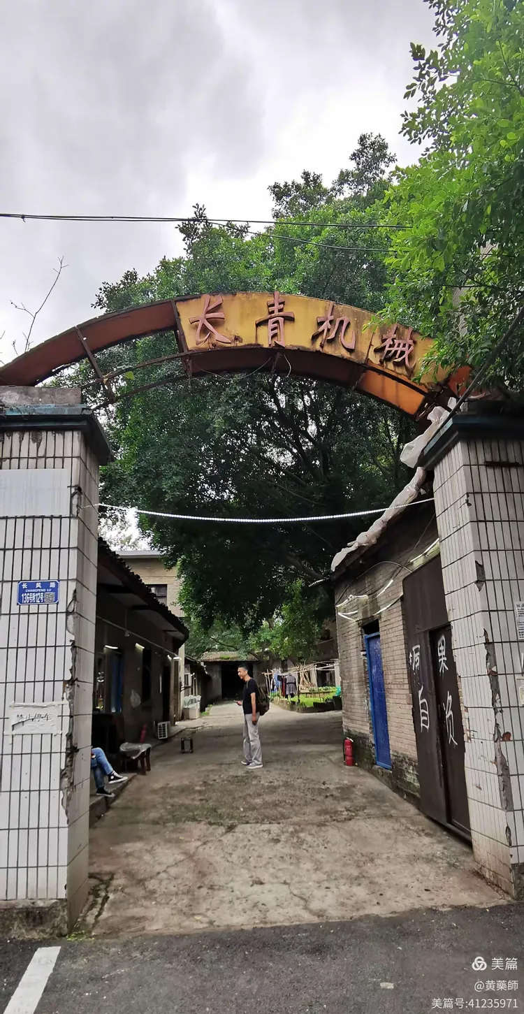 科普实测“点点长牌有没有挂	”原来真可以开挂-第1张图片