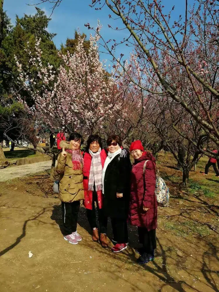 揭秘科普“哈局十三张开挂神器怎么玩”其实确实有挂-第1张图片