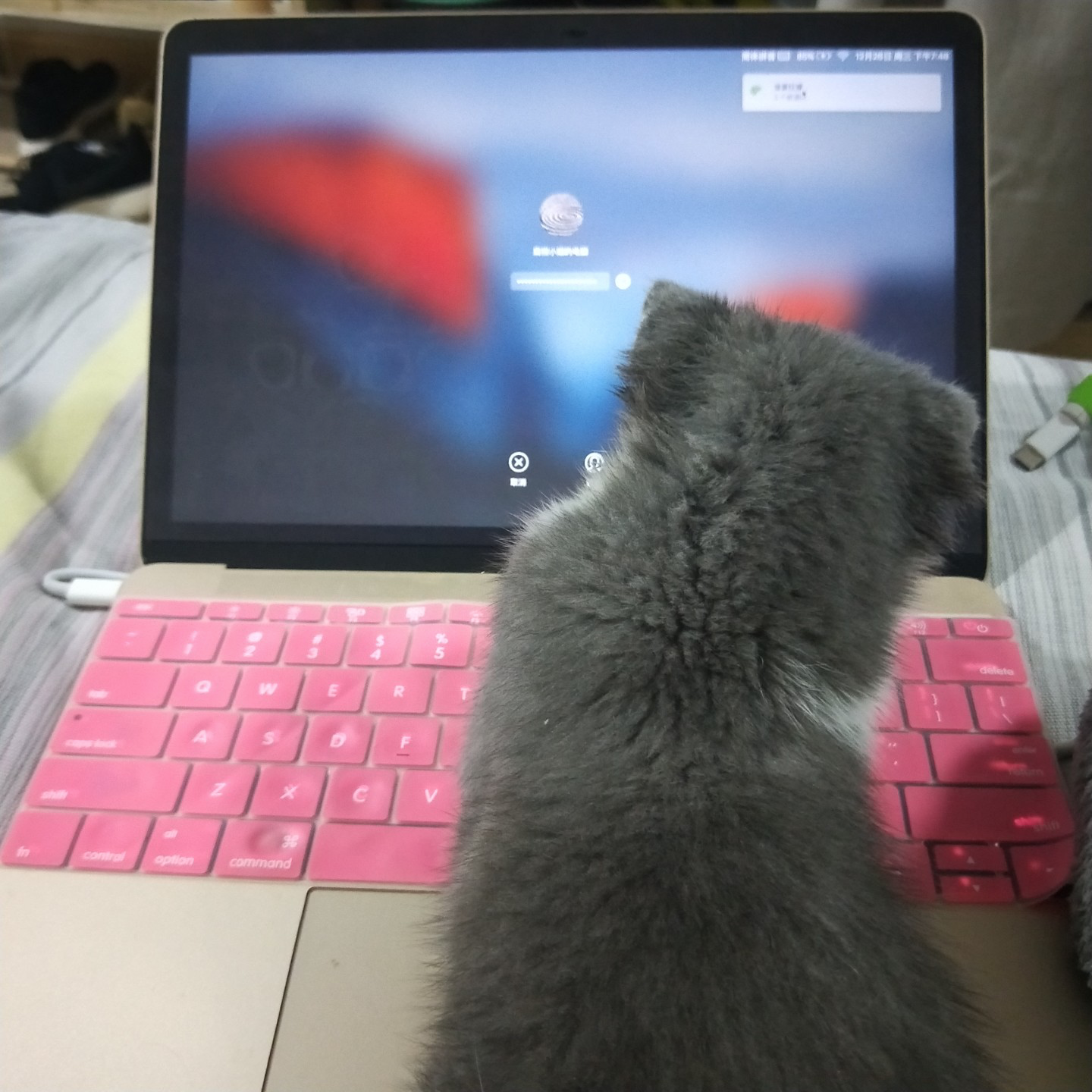 分享实测攻略“hacker猫德州辅助插件	”实际有挂-第3张图片