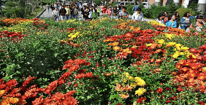 “沈阳职业技术学院阳性学生隔离治疗” 沈阳职业技术学院灵异事件？-第3张图片