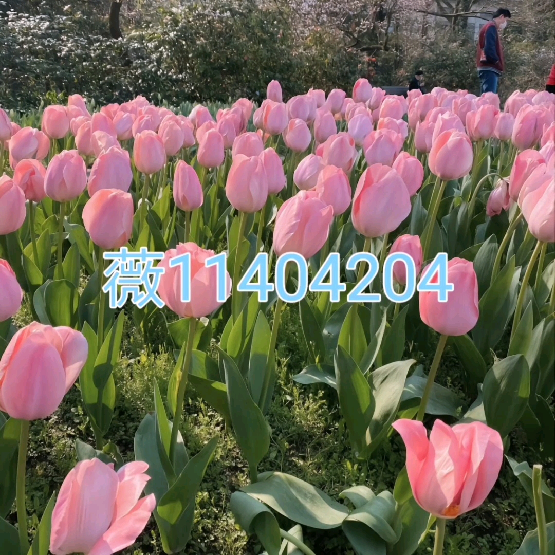 玩家必备“机麻作弊怎么检查出来	”(必胜开挂神-第2张图片