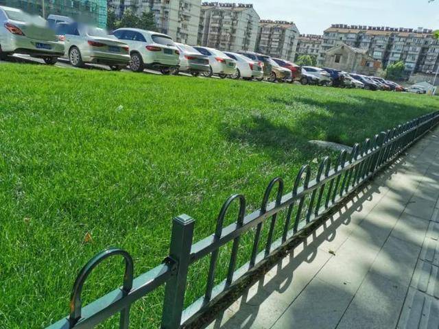 郑州新增,郑州新增272套抓拍设备-第2张图片