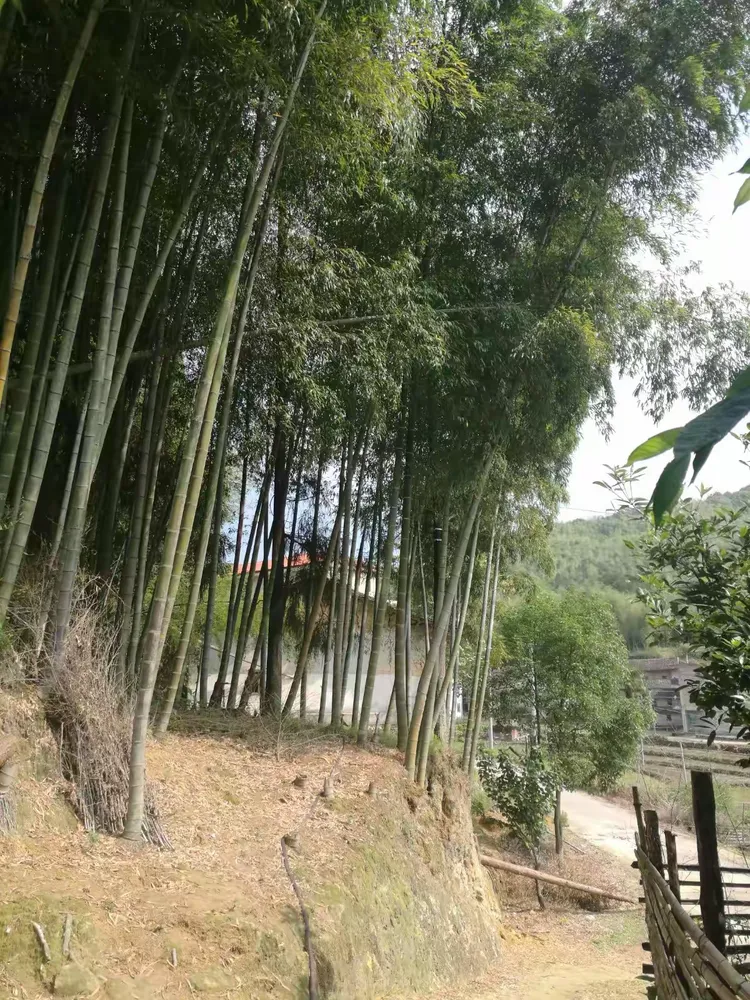「甫田疫情最新消息」〃甫田疫情开始时间-第3张图片