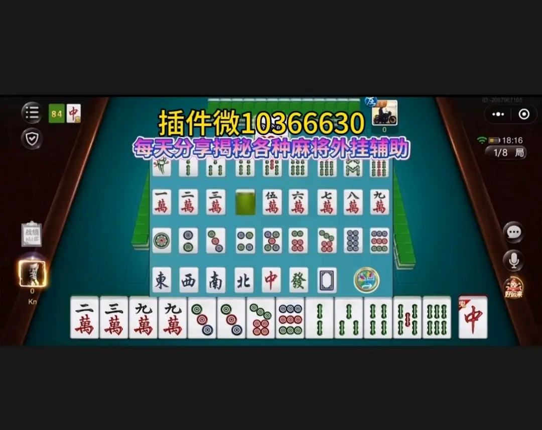 教程分享“微乐万能开挂器”开挂详细教学-第1张图片