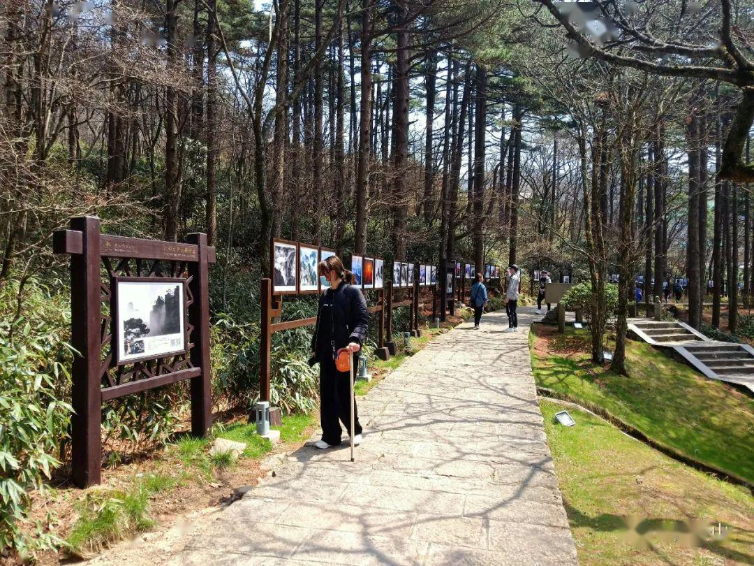 玩家综述“黄山麻将开挂神器免费下载	”其实真的确实有挂-第2张图片