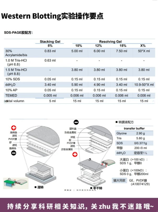 指定教程“乐酷大厅辅助器”详细开挂玩法-第2张图片