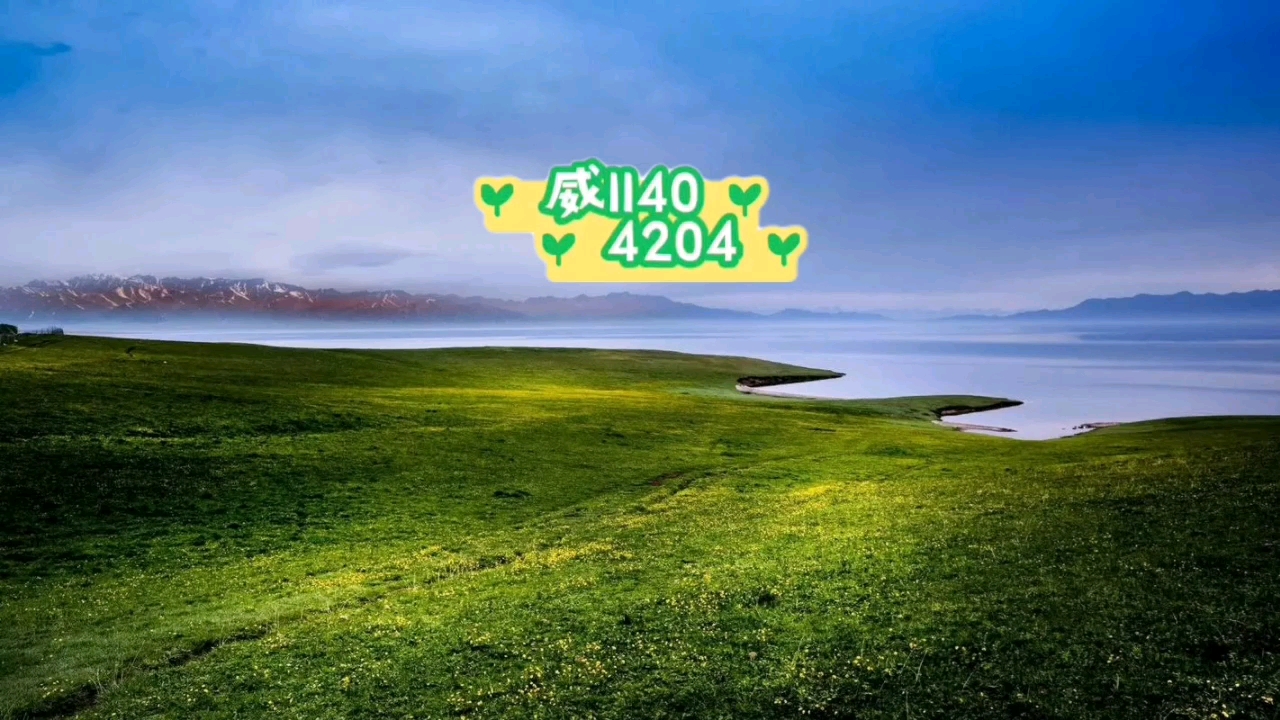 分析实测“微乐龙江麻将手机版免费挂”的确有挂-第2张图片