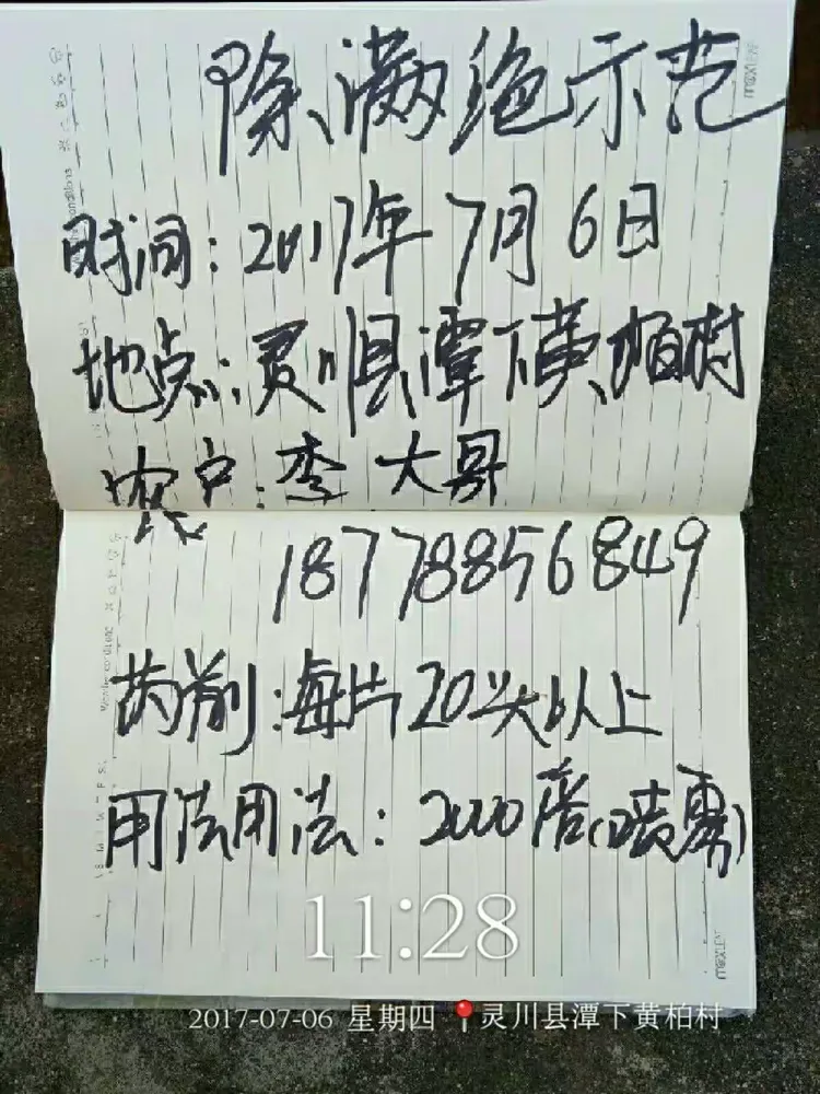 传递经验“免费福星桂林字牌开挂”(确实有挂)-第2张图片