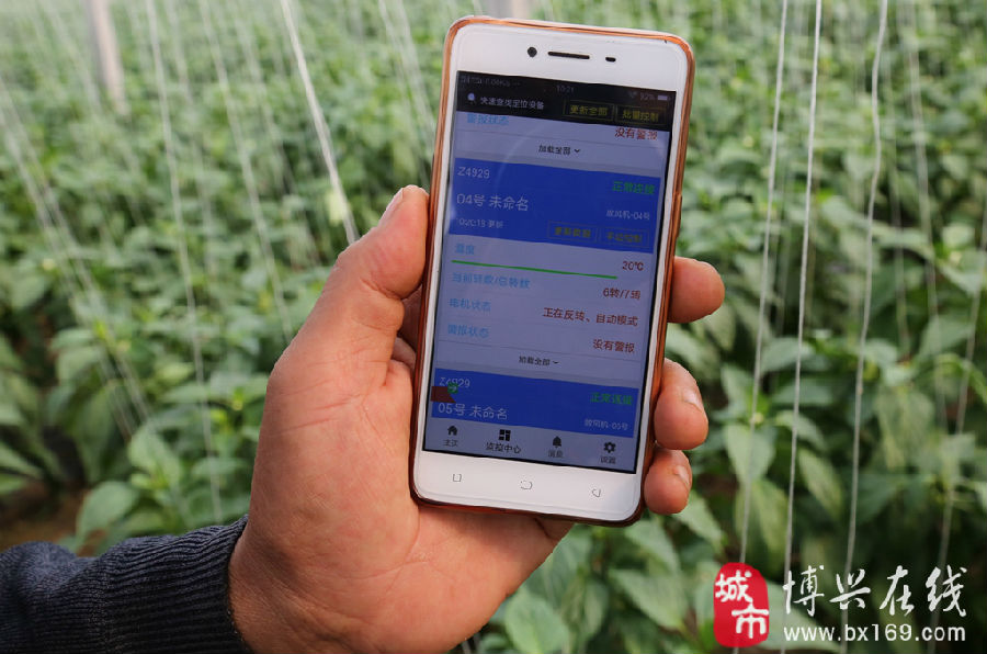 分享热点“手机微乐干瞪眼怎么来好牌”详细开挂玩法-第2张图片